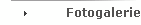 Fotogalerie